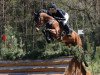 jumper Capo 25 (Hanoverian, 2013, from Canstakko)