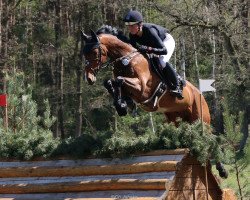 jumper Capo 25 (Hanoverian, 2013, from Canstakko)