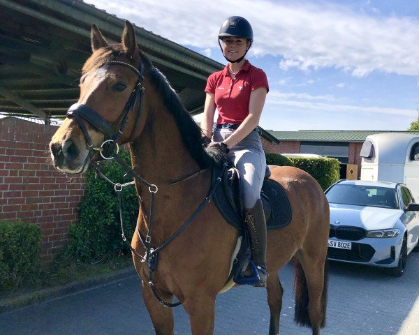 jumper Cornet‘s Charlie (Westphalian, 2020, from Cornet Obolensky)