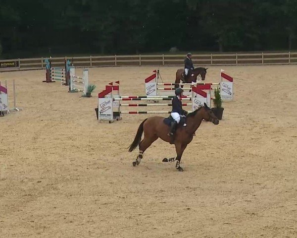 Reitturnier Tiefenhof/Opf. 2025