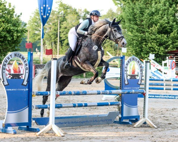 horse Daisys Deja Vu (Westphalian, 2021, from DURANTOS)