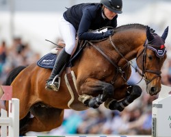 stallion Carlton SR (Holsteiner, 2013, from Cascadello)