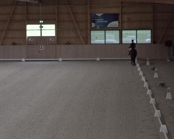 Reitturnier Aadorf 2025
