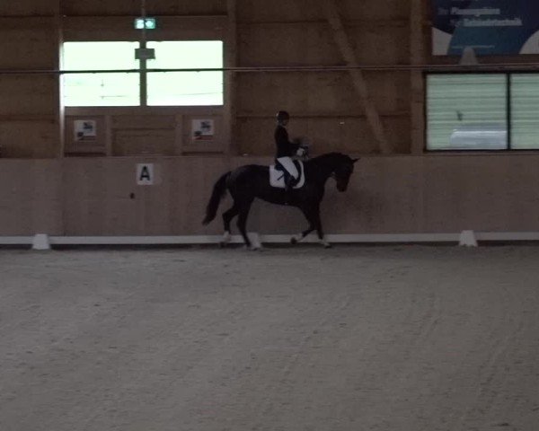 Reitturnier Aadorf 2025