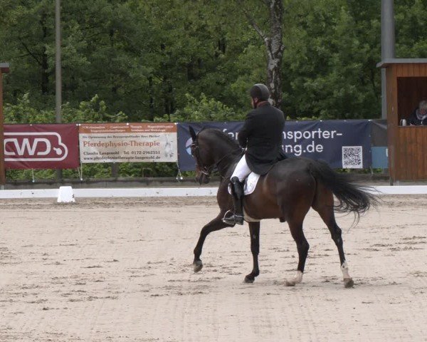 Reitturnier Erkrath - Uhlenhof 2025