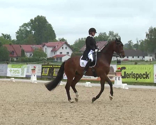 Reitturnier Notzing/Obb. 2025