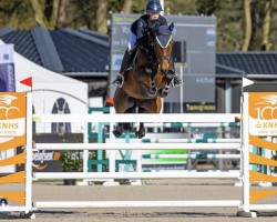 jumper Hyaliet (KWPN (Royal Dutch Sporthorse), 2012, from Back Gammon (NLD))