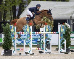 jumper La Pleasure (KWPN (Royal Dutch Sporthorse), 2016, from For Pleasure)