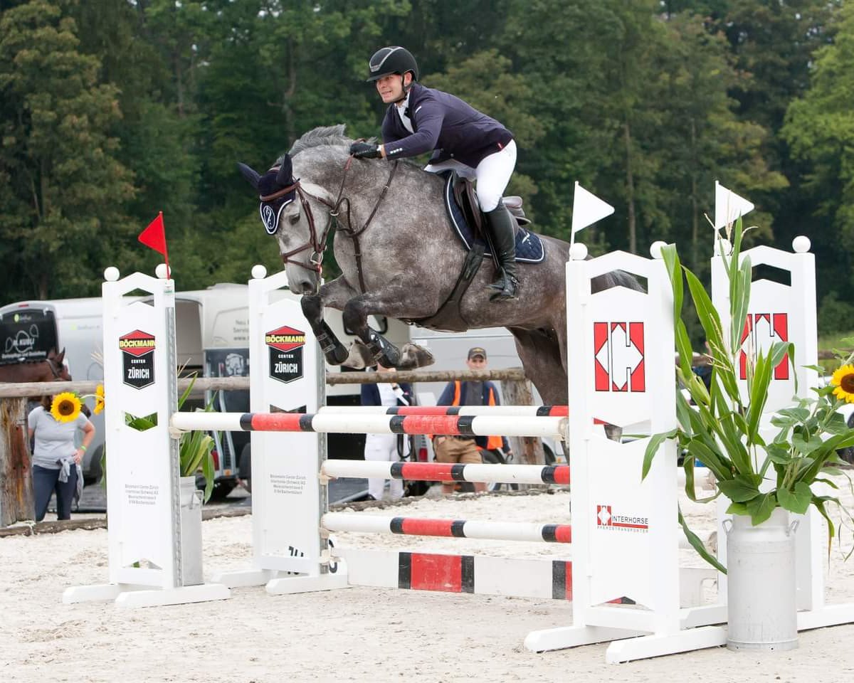jumper Diva 634 (Hanoverian, 2015, from Diacontinus)