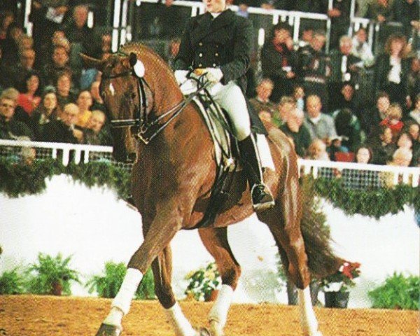 stallion Gishan (Oldenburg, 1988, from Ganymed I)