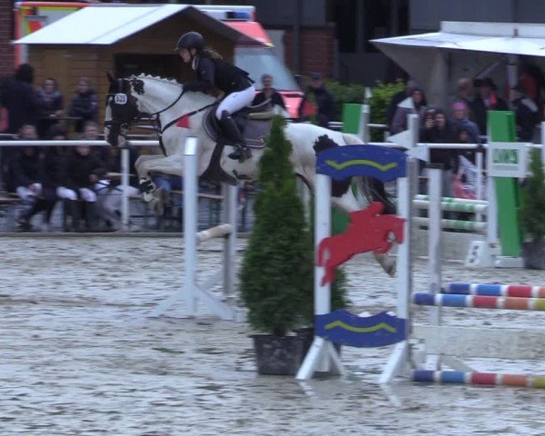 Reitturnier Ostenfelde-Vornholz 2025