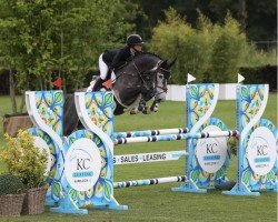 Springpferd Orlando Vz (KWPN (Niederländisches Warmblut), 2019, von Cicero Z van Paemel)