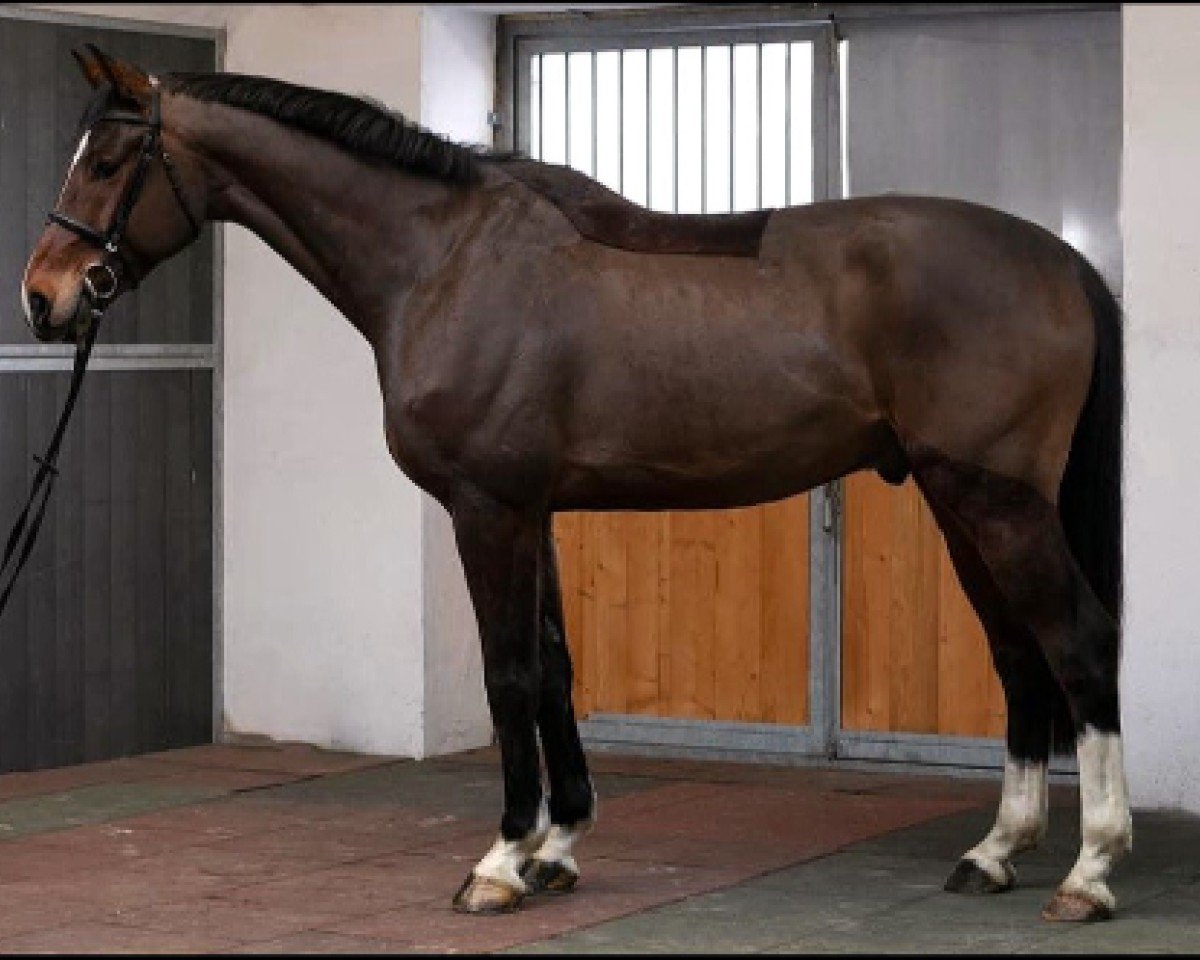 jumper SR - Lightning (Rhinelander, 2021, from Leandro Vg)