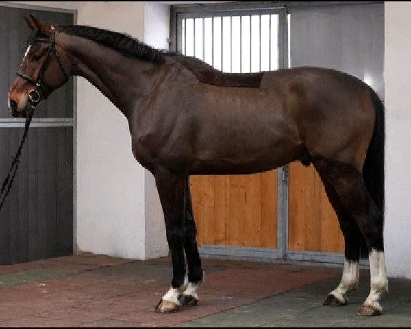 jumper SR - Lightning (Rhinelander, 2021, from Leandro Vg)