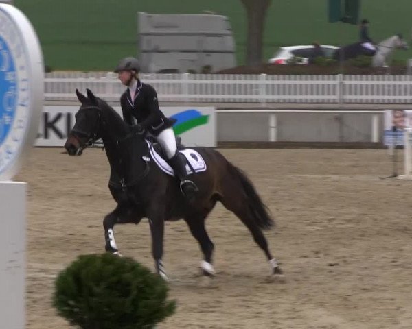Balve-Wocklum Regio 2014