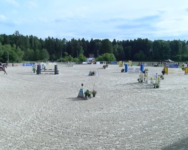 Reitturnier Meilen 2025