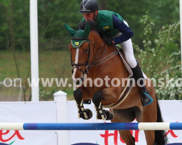 jumper Geriebanta (KWPN (Royal Dutch Sporthorse), 2011)