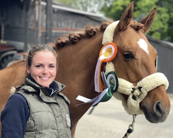 dressage horse Gran Sol de Zahara (German Riding Pony, 2018, from Grand Royale)