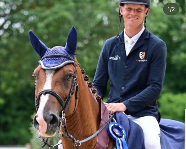 jumper Ohio Dream (German Sport Horse, 2017, from Ogano Sitte)