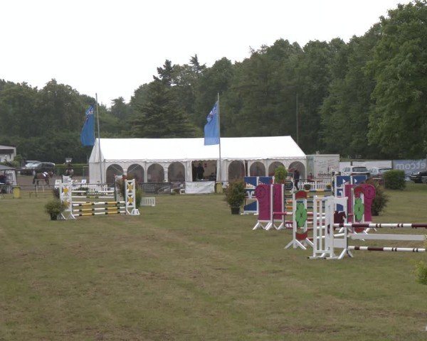 Reitturnier Stadthagen 2025