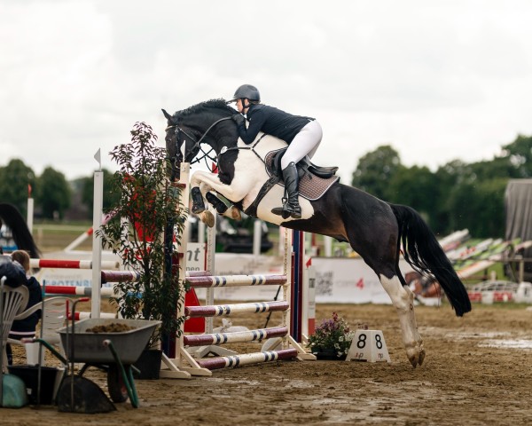 stallion Ilay BE (Rhinelander, 2020, from Icon)