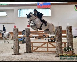 jumper Mabelle (Belgian Warmblood, 2012, from Zilverstar T)
