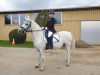 horse H-S Salt and Pepper (Welsh mountain pony (SEK.A), 2009, from Menai Silver Gold)