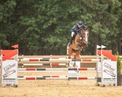 jumper Corrado 145 (German Sport Horse, 2016, from Clooney)
