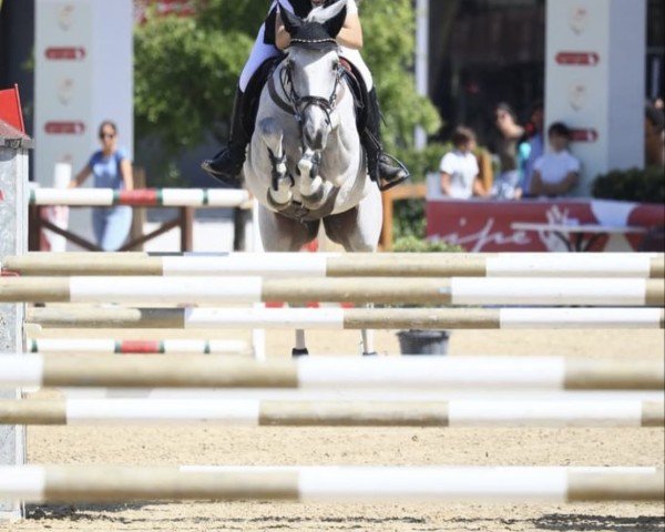 jumper Venise des Islots (French Pony, 2009, from Balthazar)
