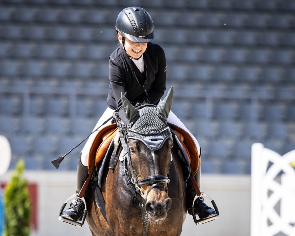 Dressurpferd Darcy V. (Deutsches Reitpony, 2009, von Doodoo)