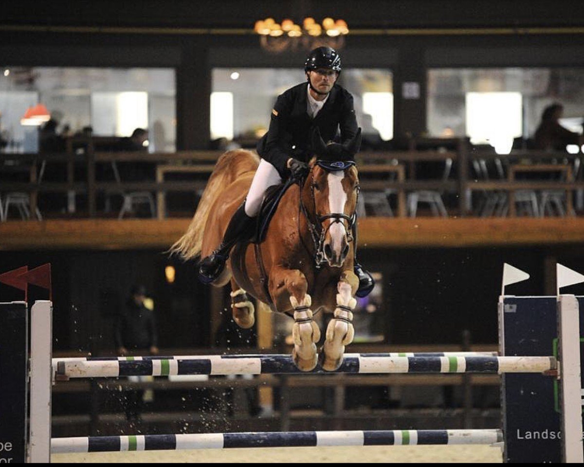 Springpferd Lancaster Lv v't Diepenbr (Belgisches Warmblut, 2011, von Ugano Sitte)