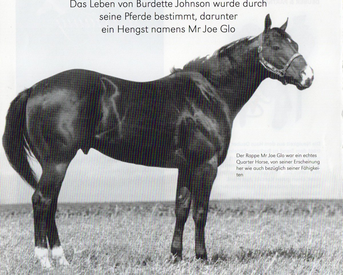 stallion Mr Joe Glo (Quarter Horse, 1968, from Lucky Joe Five)