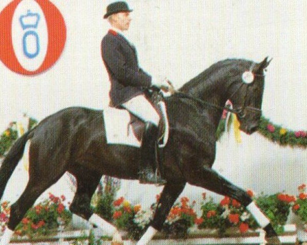 dressage horse Diebische Elster (Oldenburg, 1992, from Donnerschwee)