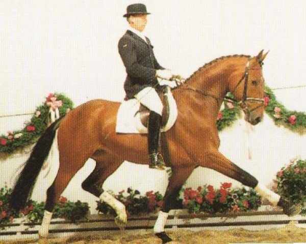 horse Lloyd Webber (Oldenburg,  , from Landadel)