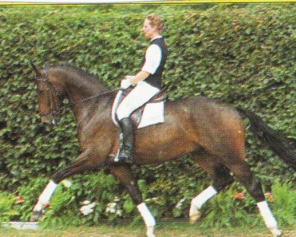 horse Elton John 4 (Westphalian, 1991, from Ehrentusch)