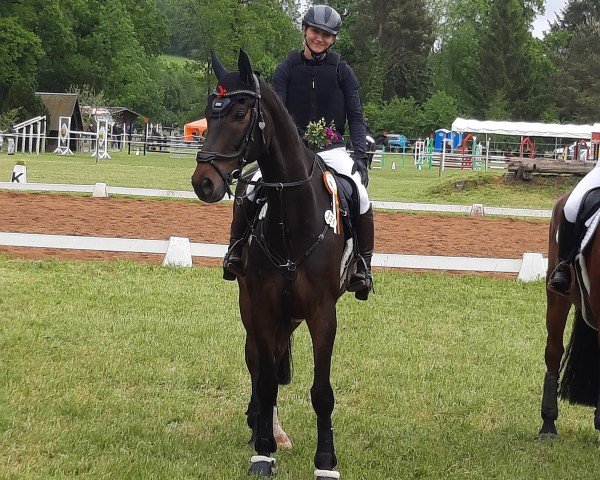 dressage horse Let's just be friends (Hanoverian, 2013, from Laurice)