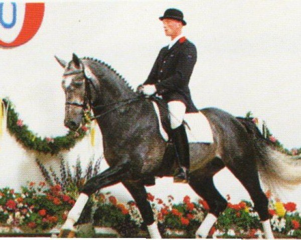 horse Flamenco T (Oldenburg, 1990, from Freiherr)