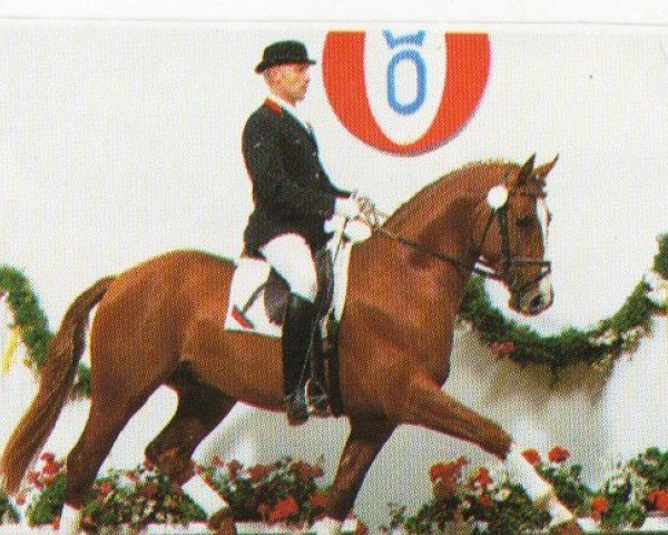 horse Römischer Karneval (Oldenburg, 1992, from Rouletto)