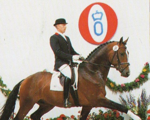 horse Rimsky Korsakow (Oldenburg, 1992, from Rouletto)