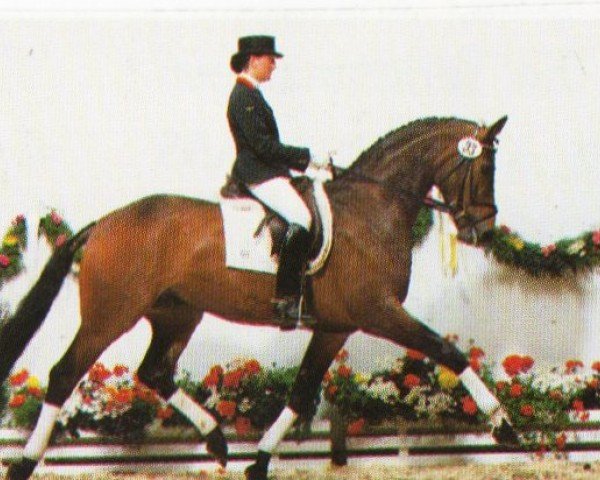 dressage horse Roubaix (Oldenburg, 1992, from Rubinstein I)