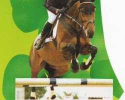 horse Lamborghini 13 (Westphalian, 1983, from Loewenstein)