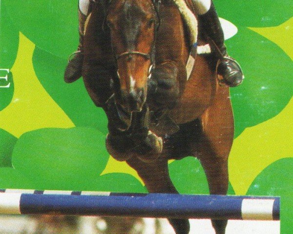 stallion Pirol (Westphalian, 1978, from Pilot)