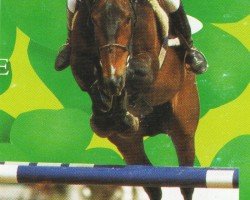 Deckhengst Pirol (Westfale, 1978, von Pilot)