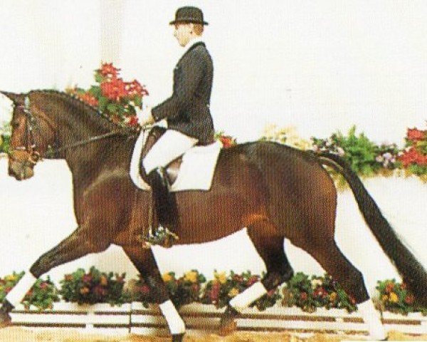 broodmare Kaiser Hymne (Hanoverian, 1988, from Karon)