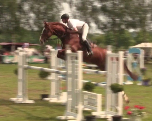 jumper Frieda 215 (Hanoverian, 2009, from For Edition)