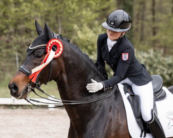 stallion Fidelius 41 (Westphalian, 2014, from Franziskus FRH)