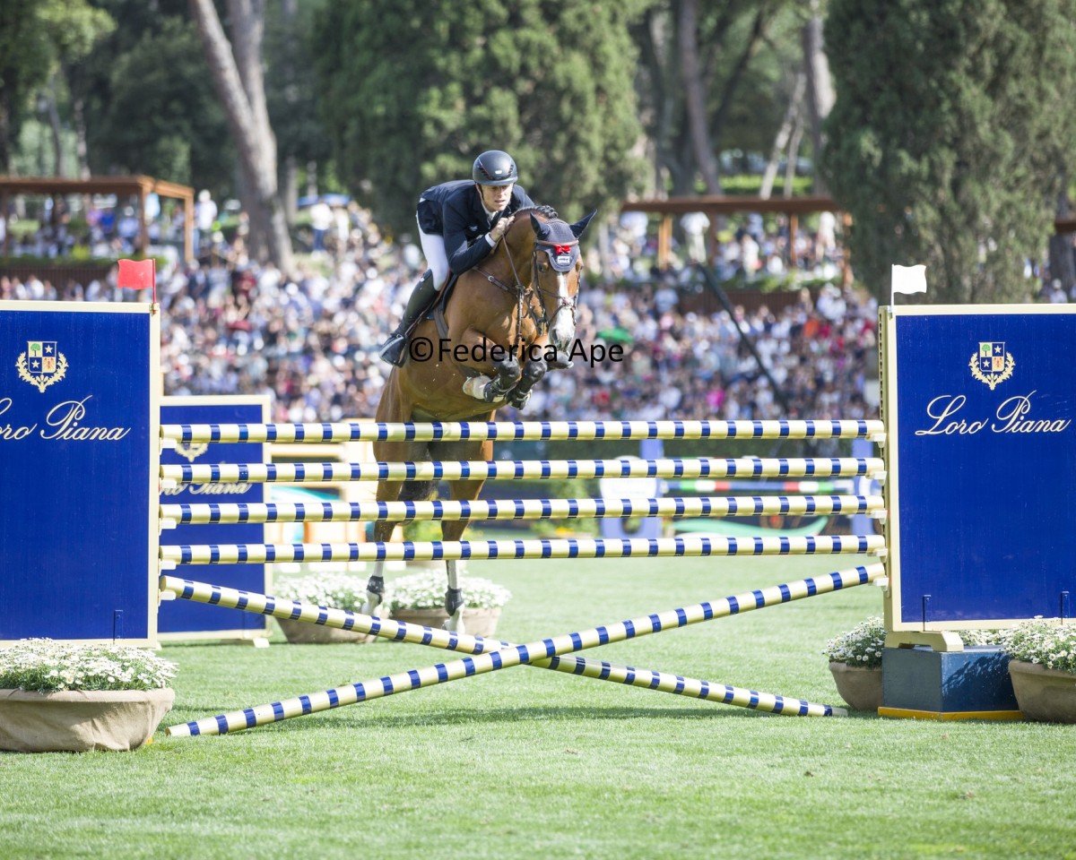 jumper Count on Me 19 (Westphalian, 2015, from Cascadello)