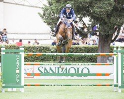 jumper Asjemenou Sr Z (Zangersheide riding horse, 2015, from Andiamo)
