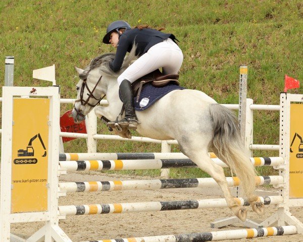 jumper Fidelio 33 (unknown, 2017)