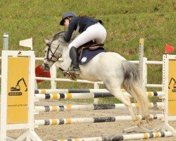 jumper Fidelio 33 (unknown, 2017)